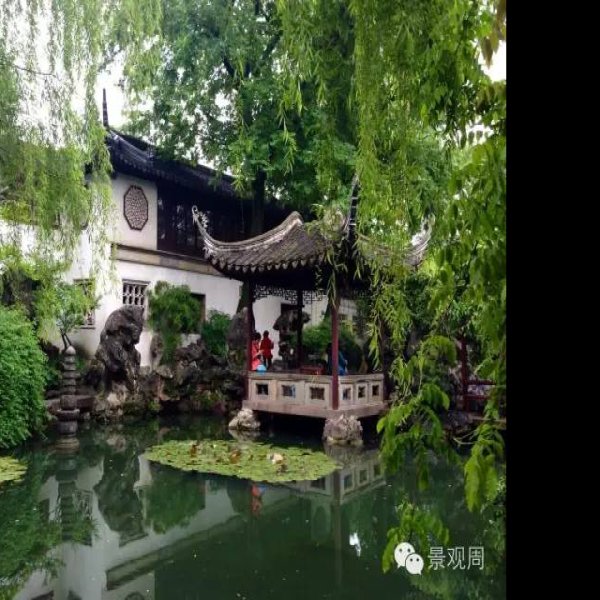 留园 - 图片8