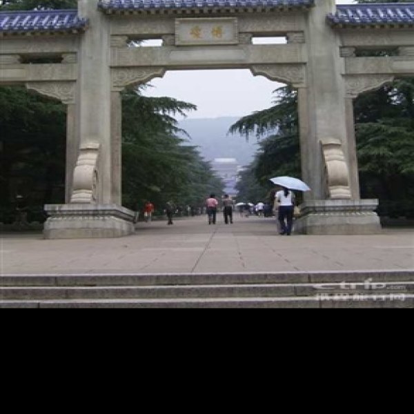 中山陵 - 图片5