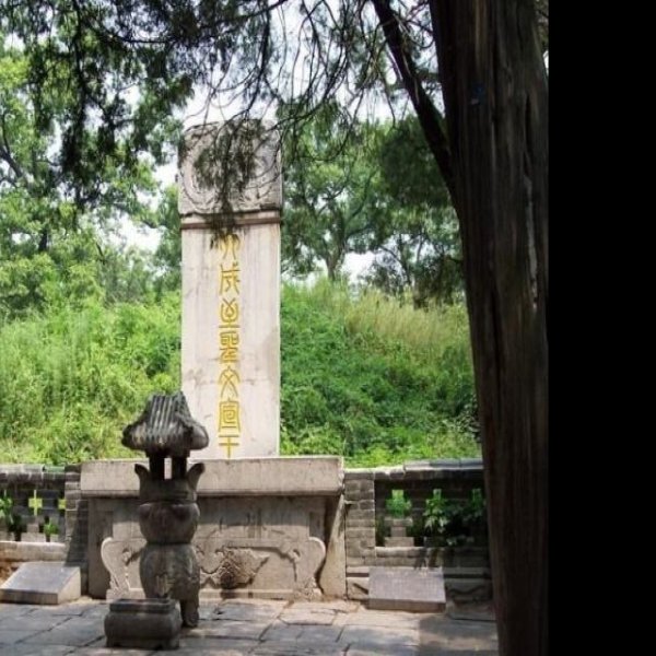 孔林 - 图片1