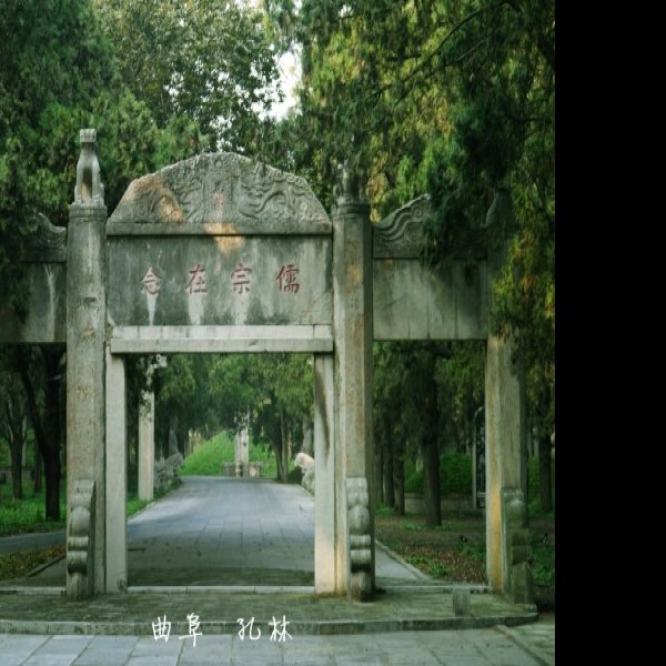 孔林 - 图片10