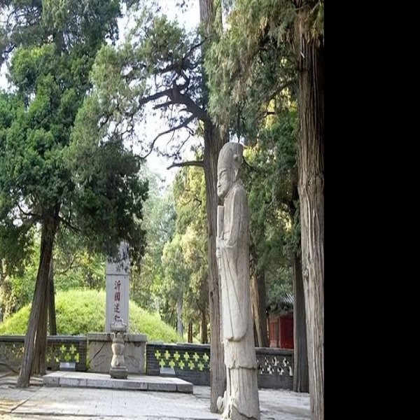 孔林 - 图片2