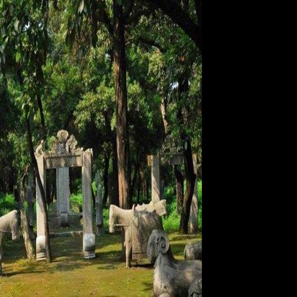 孔林 - 图片8