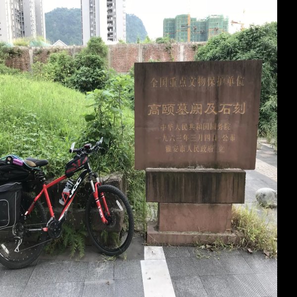 高颐墓阙及石刻 - 图片8