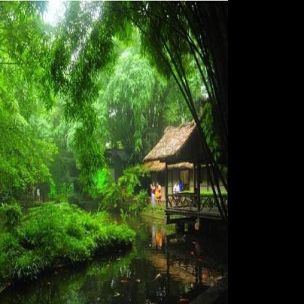 杜甫草堂 - 图片9