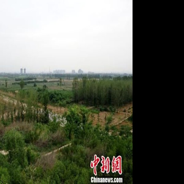 汉长安城遗址 - 图片9