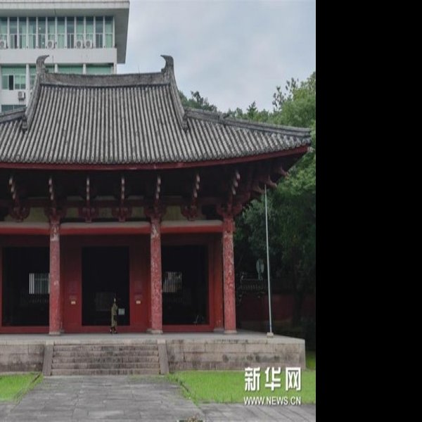 华林寺大殿 - 图片2