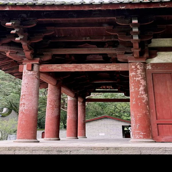 华林寺大殿 - 图片4