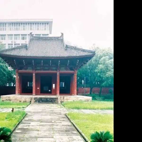 华林寺大殿 - 图片7