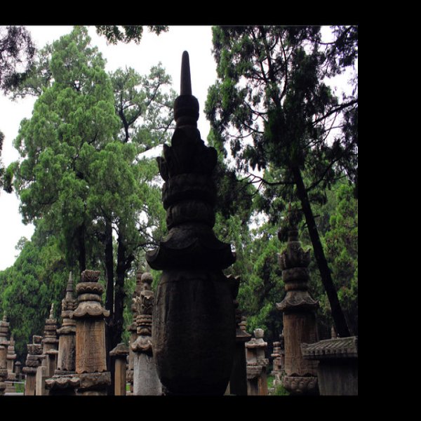灵岩寺 - 图片7