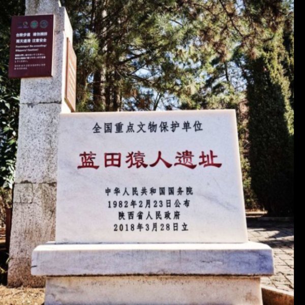 蓝田猿人遗址 - 图片4