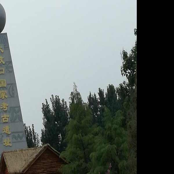 大汶口遗址 - 图片10