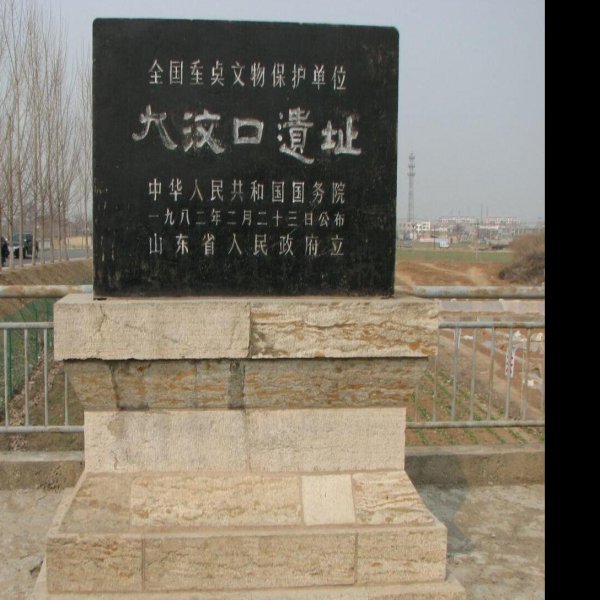 大汶口遗址 - 图片3