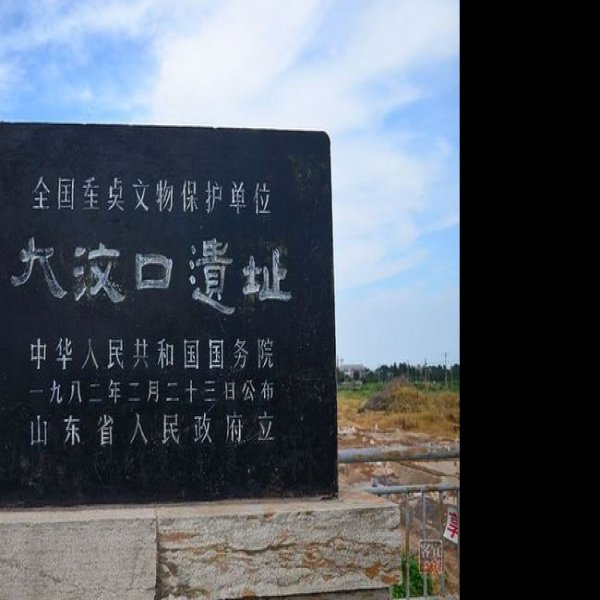 大汶口遗址 - 图片6
