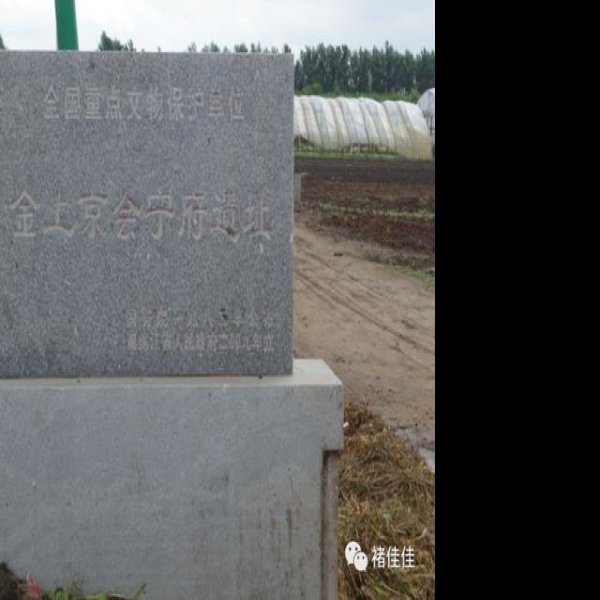 金上京会宁府遗址 - 图片8