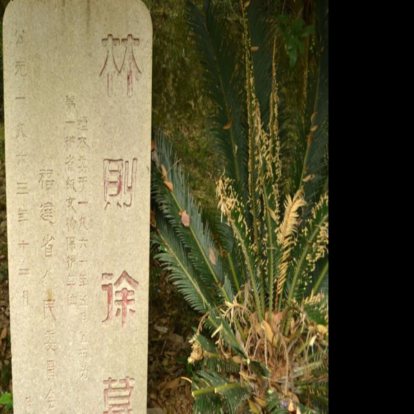 林则徐墓 - 图片3