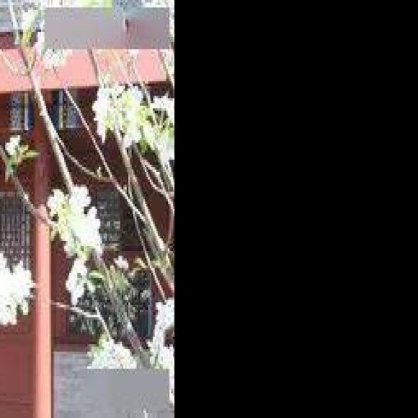 李大钊故居 - 图片1