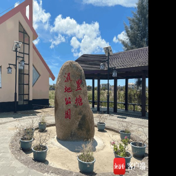 丰塘（芍陂） - 图片8