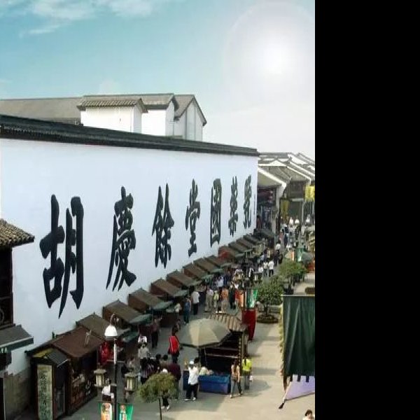胡庆余堂 - 图片7