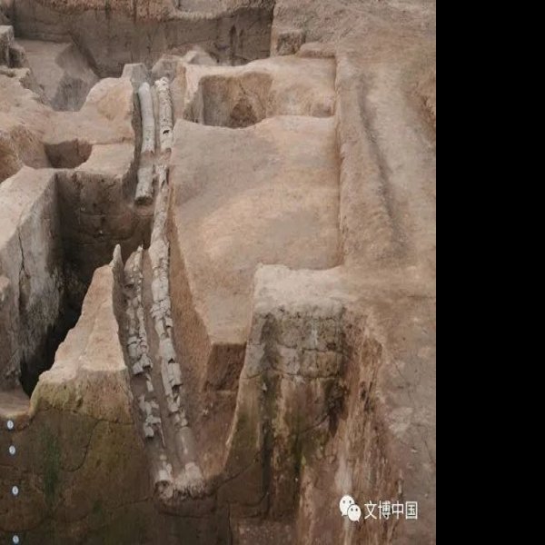 平粮台古城遗址 - 图片7