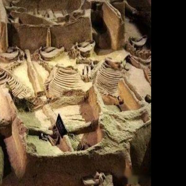 城头山遗址 - 图片3