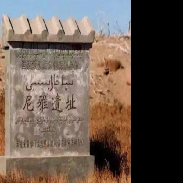 尼雅遗址 - 图片2