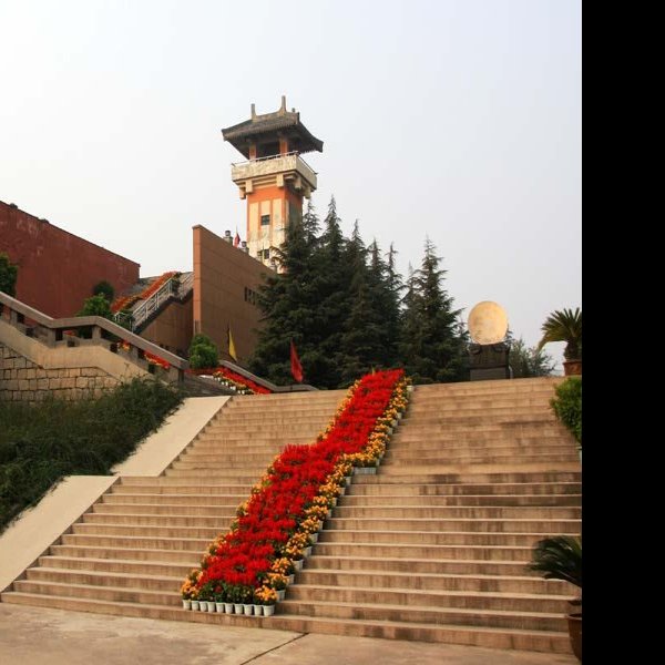 虢国墓地 - 图片8
