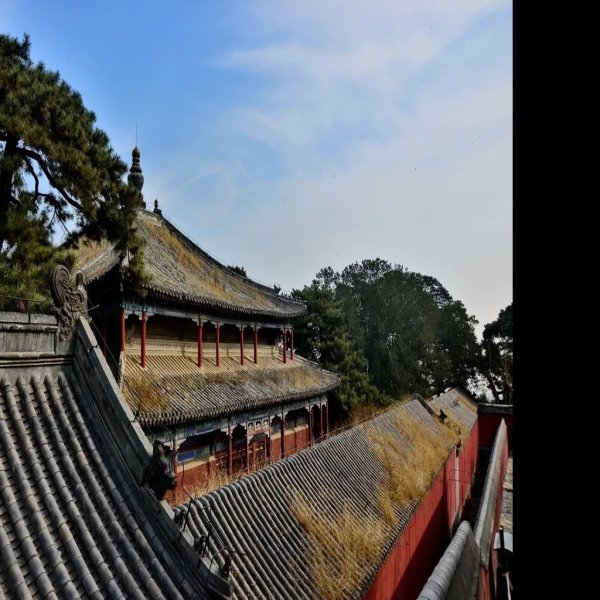 戒台寺 - 图片2