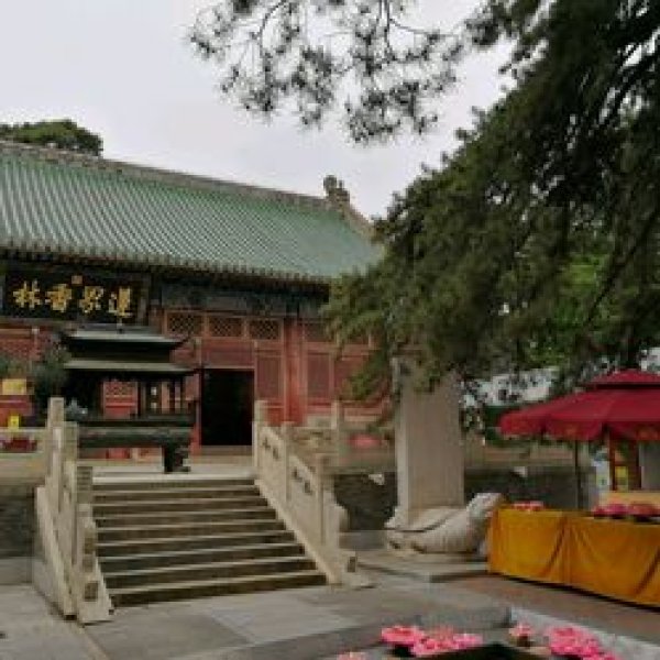 戒台寺 - 图片9
