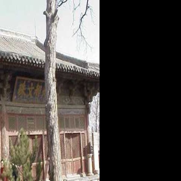 阁院寺 - 图片1