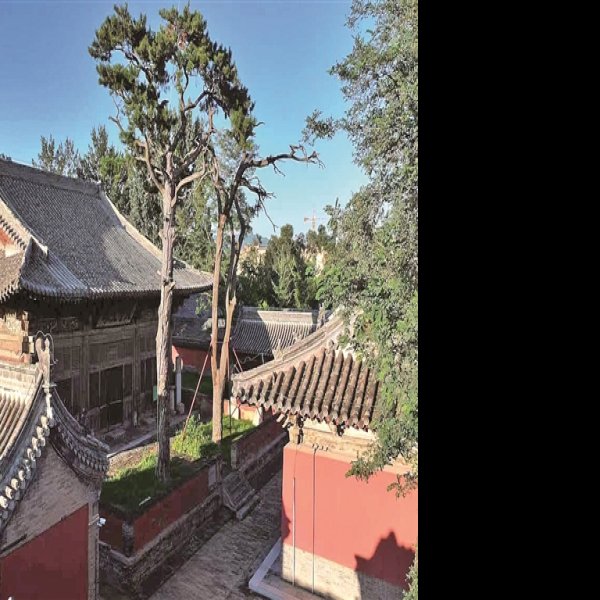 阁院寺 - 图片5
