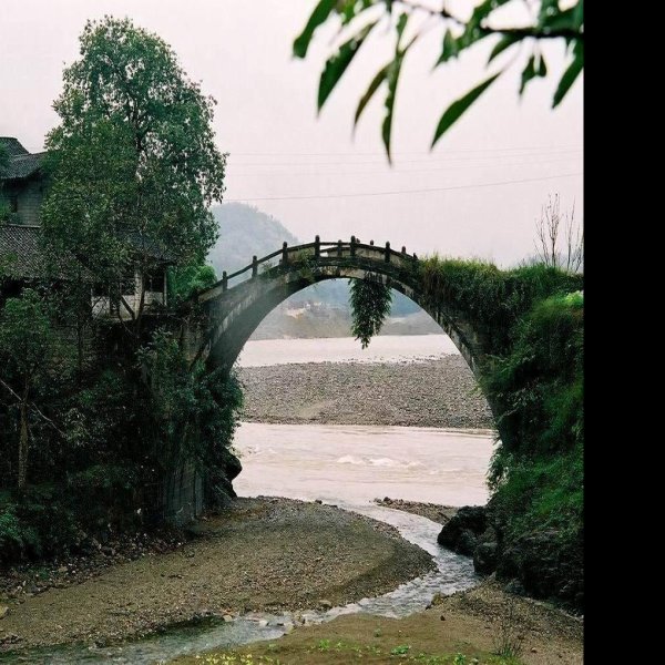 龙脑桥 - 图片8