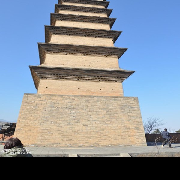 仙游寺法王塔 - 图片3