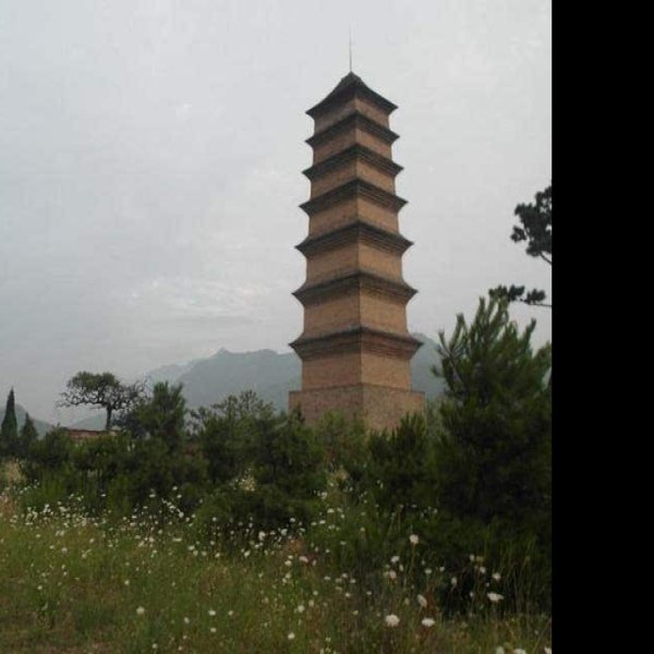 仙游寺法王塔 - 图片4