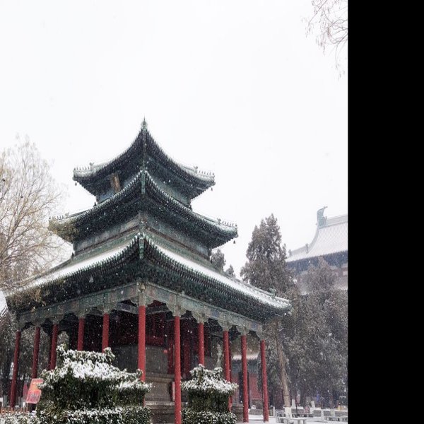 河北正定隆兴寺 - 图片8