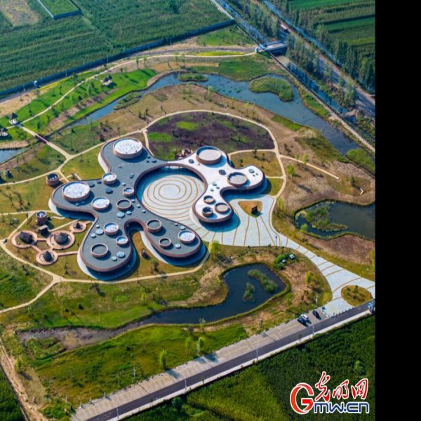 贾湖遗址 - 图片8