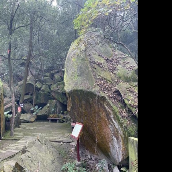 玉蟾岩遗址 - 图片10