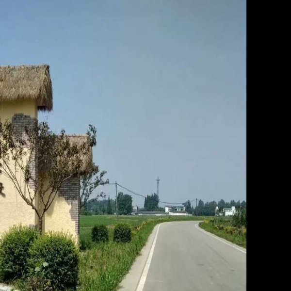 成都平原史前城址 - 图片10