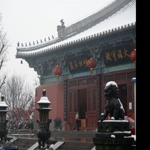 宝坻广济寺 - 图片8