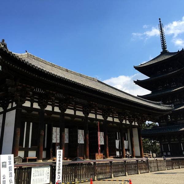 兴福寺 - 图片9