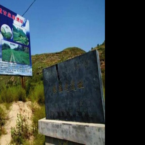 秦直道遗址 - 图片5