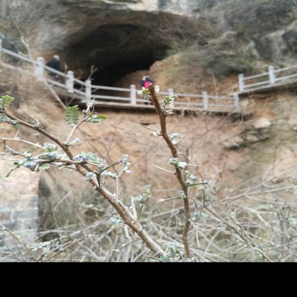 织机洞遗址 - 图片10