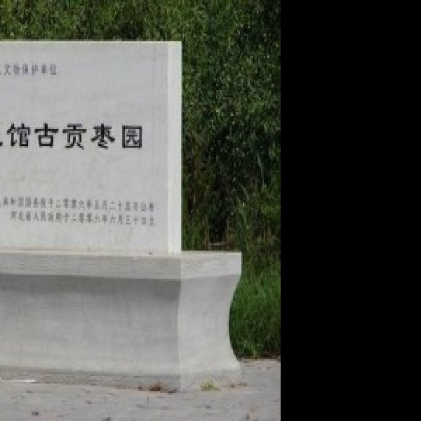 聚馆古贡枣园 - 图片4