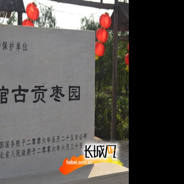 聚馆古贡枣园 - 图片7