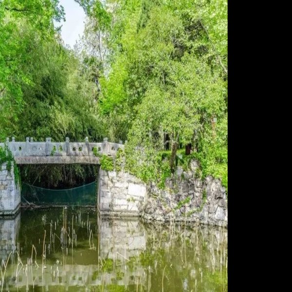 水绘园 - 图片2