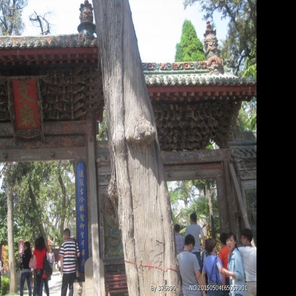 韩城文庙 - 图片4