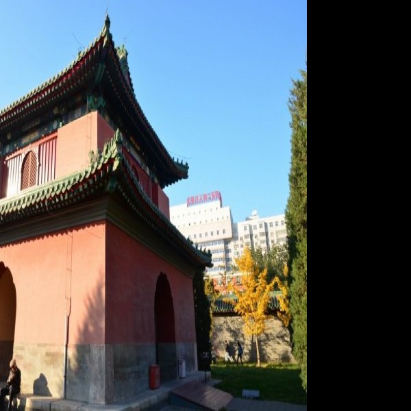 月坛 - 图片3