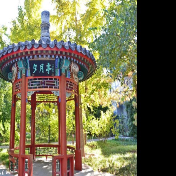 月坛 - 图片8