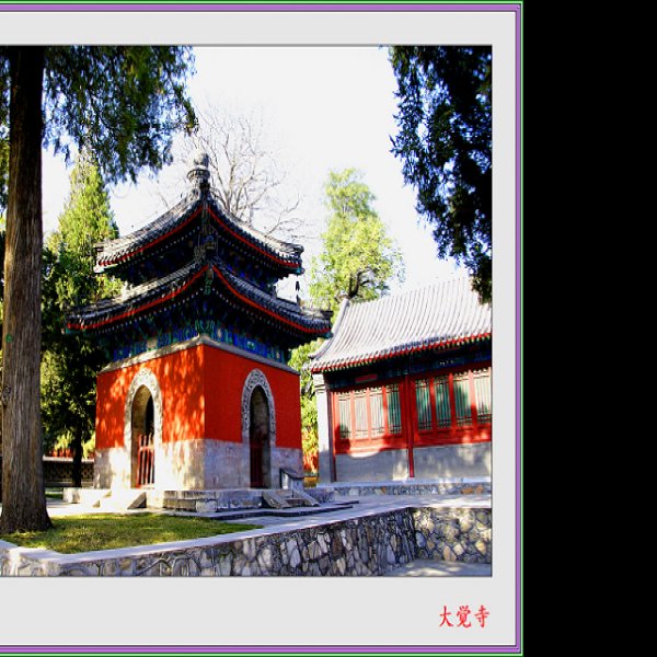 大觉寺 - 图片10