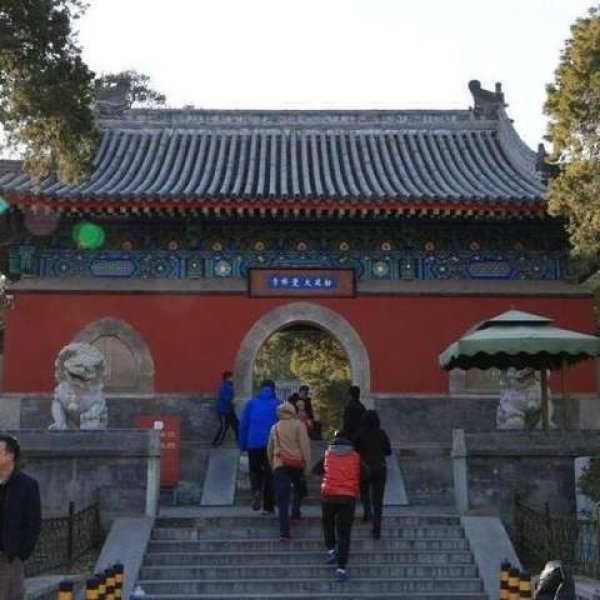 大觉寺 - 图片2