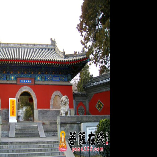 大觉寺 - 图片3